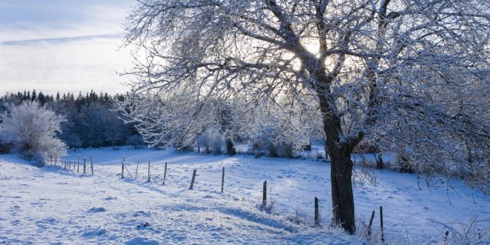 o-WINTER-WONDERLAND-SCENES-facebook